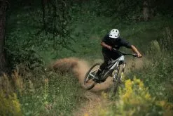 Orbea Wild M20 -Polkupyorot Kauppa ORWIFSM205