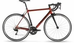 Stevens Bikes Stelvio