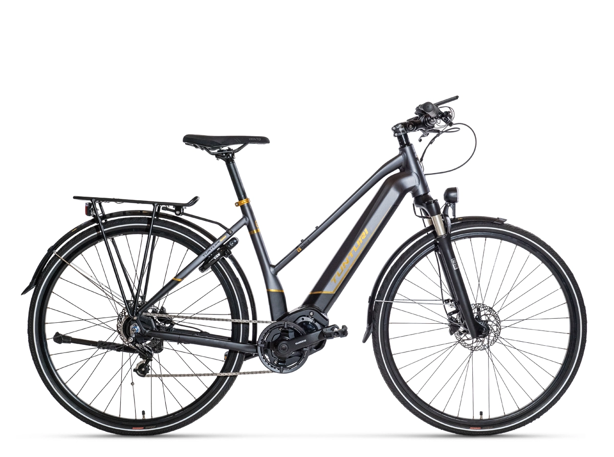 Tunturi EHybrid Century Edition 1 Tunturi EHybrid Century Edition